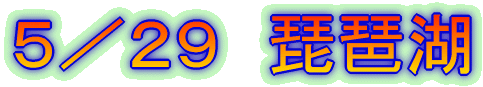 5/29 琵琶湖