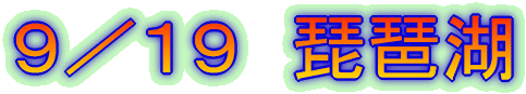 �X�^�P�X�@���i��