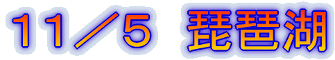 �P�P�^�T�@���i��