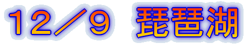 �P�Q�^�X�@���i��