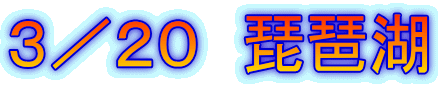 �R�^�Q�O�@���i��