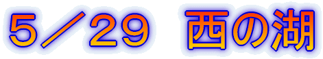 �T�^�Q�X�@���̌�