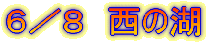 �U�^�W�@���̌�